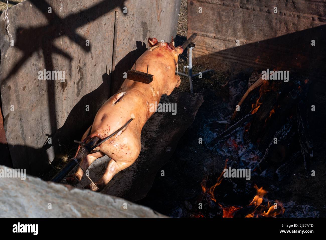 Rotisserie oder Spieß-Braten Schwein, Schweinefleisch auf Spieß gebraten, serbische traditionelle Lebensmittel für Weihnachten Stockfoto
