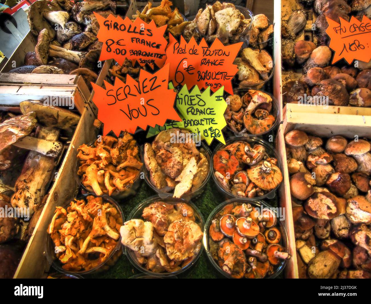 France=Food= Pilze: ''Cepes'',''Girolles'', ''Pied de Mouton'', usw., Stockfoto