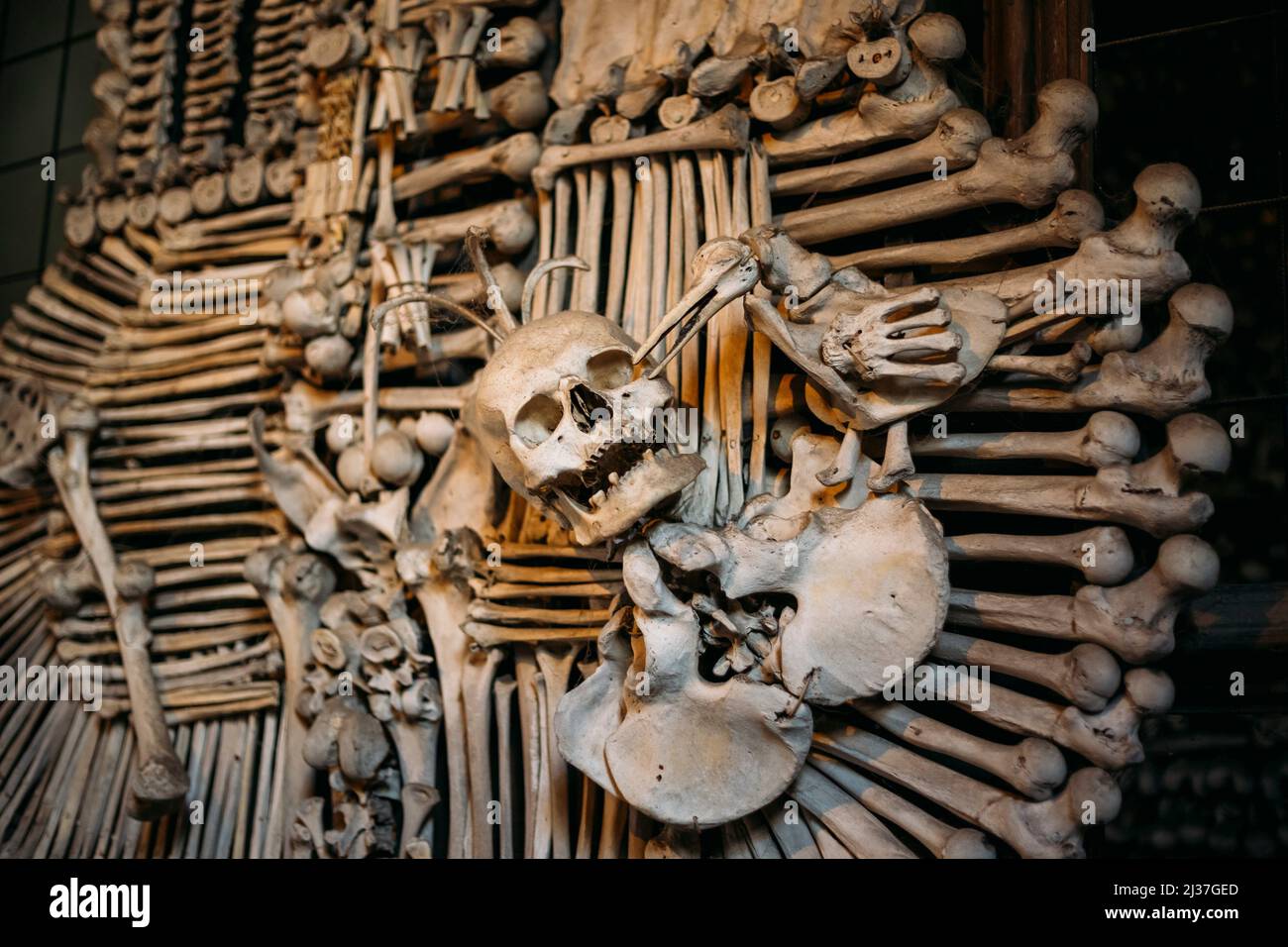 Alte Knochen, Schädel In Sedlec Beinhaus (Kostnice), Kutna Hora, Tschechisch. Beinhaus Enthalten Skelette Von Zwischen 40.000-70.000 Menschen, Deren Knochen Waren Stockfoto