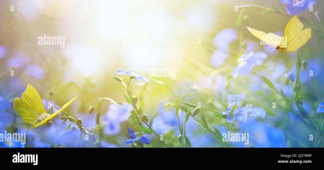 Kunst abstrakte Natur Frühling Hintergrund mit frischen Blumen und fliegende Schmetterlinge Stockfoto