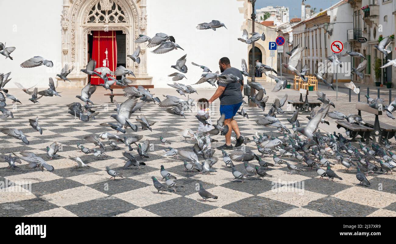 Europa, Portugal, Tomar, junges Kind spielt unter den Tauben in Praça da República. Stockfoto