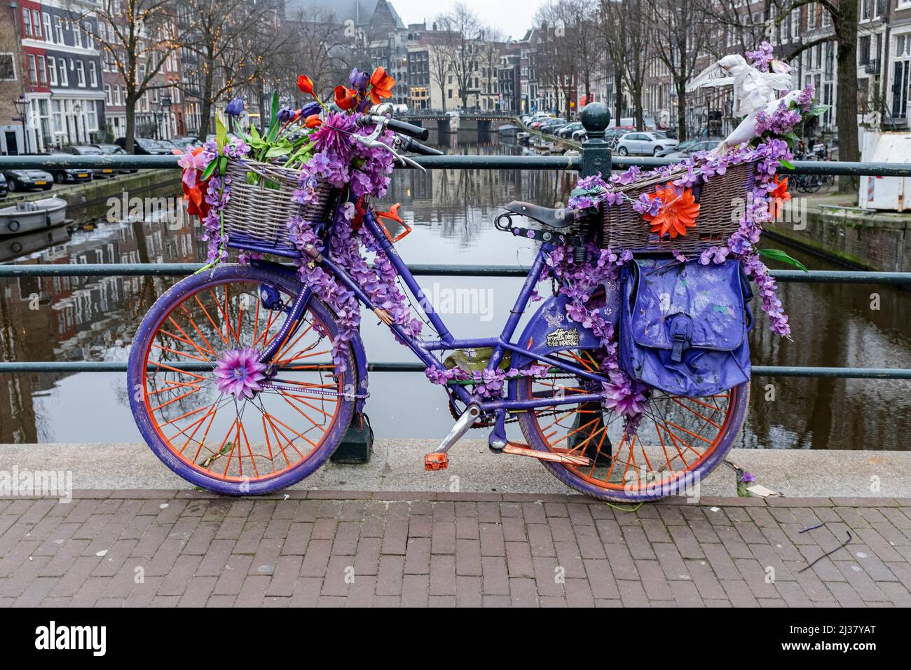 Amsterdam, Niederlande. Fahrräder mit bunten Blumen geschmückt, die auf  mehreren Grachtenbrücken in der Stadt als urbanes Kunstprojekt geparkt sind  Stockfotografie - Alamy