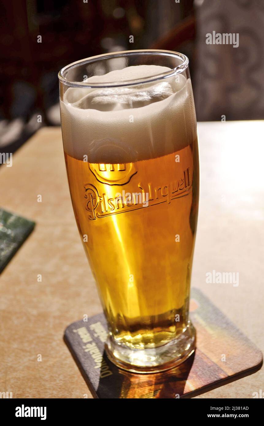 Pilsner Urquell Bier im Glas (halbe Pint) auf dem Restauranttisch, Prag Tschechische Republik. Stockfoto