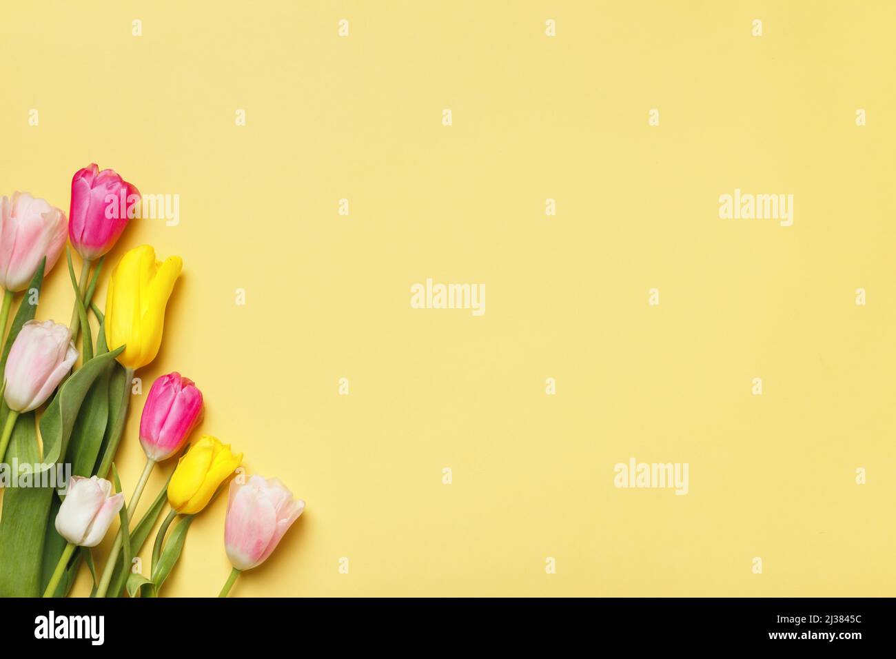 Geschenk Frühling Bouquet von Tulpen auf einem gelben Hintergrund mit einem Platz für Text Stockfoto