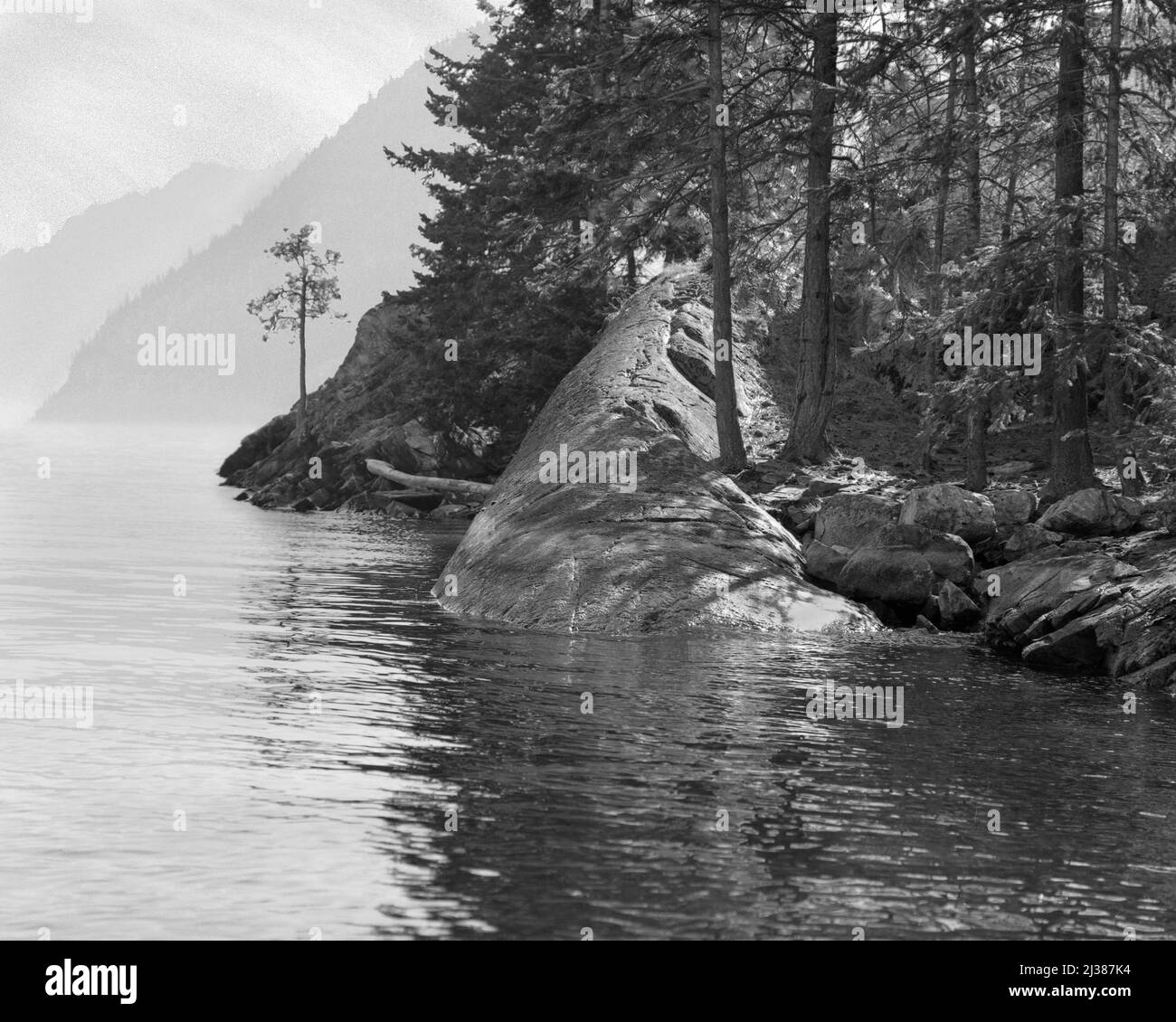 Eine malerische Aussicht auf einen riesigen Felsen und Pinien am Ufer eines Sees in Graustufen Stockfoto