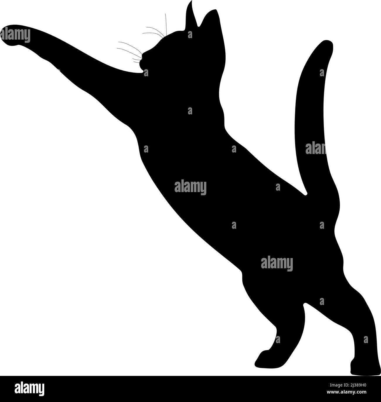 Schwarze Silhouette einer Katze auf weißem Hintergrund. Vektorbild. Stock Vektor