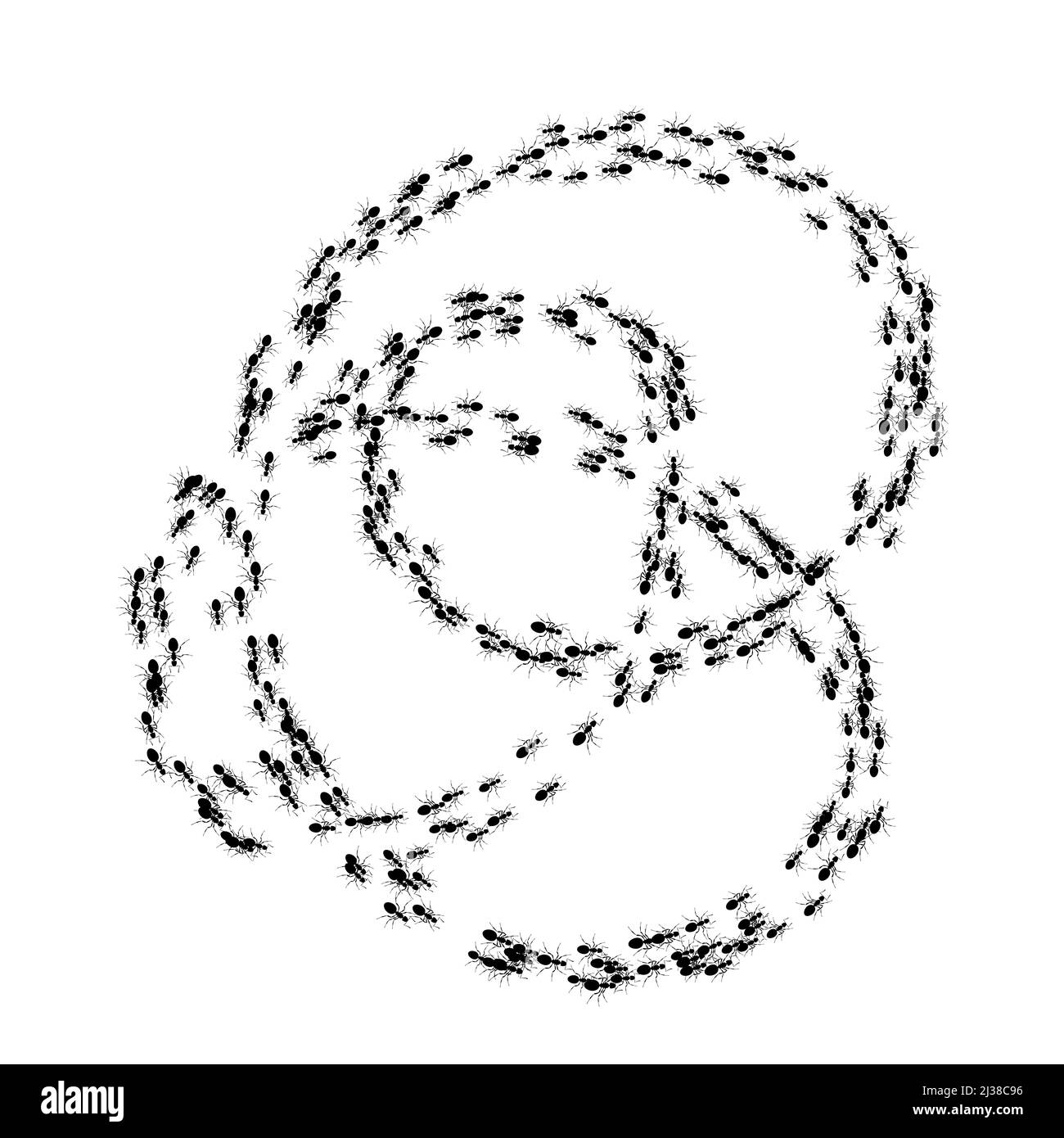 Kolonieameisen. Muster Insekten Ameise auf weiß. Arbeiter Ameisen marschieren, Teamarbeit. Insekten im flachen Stil. Design für Social Media, Blog Post, Print, Wall ar Stock Vektor