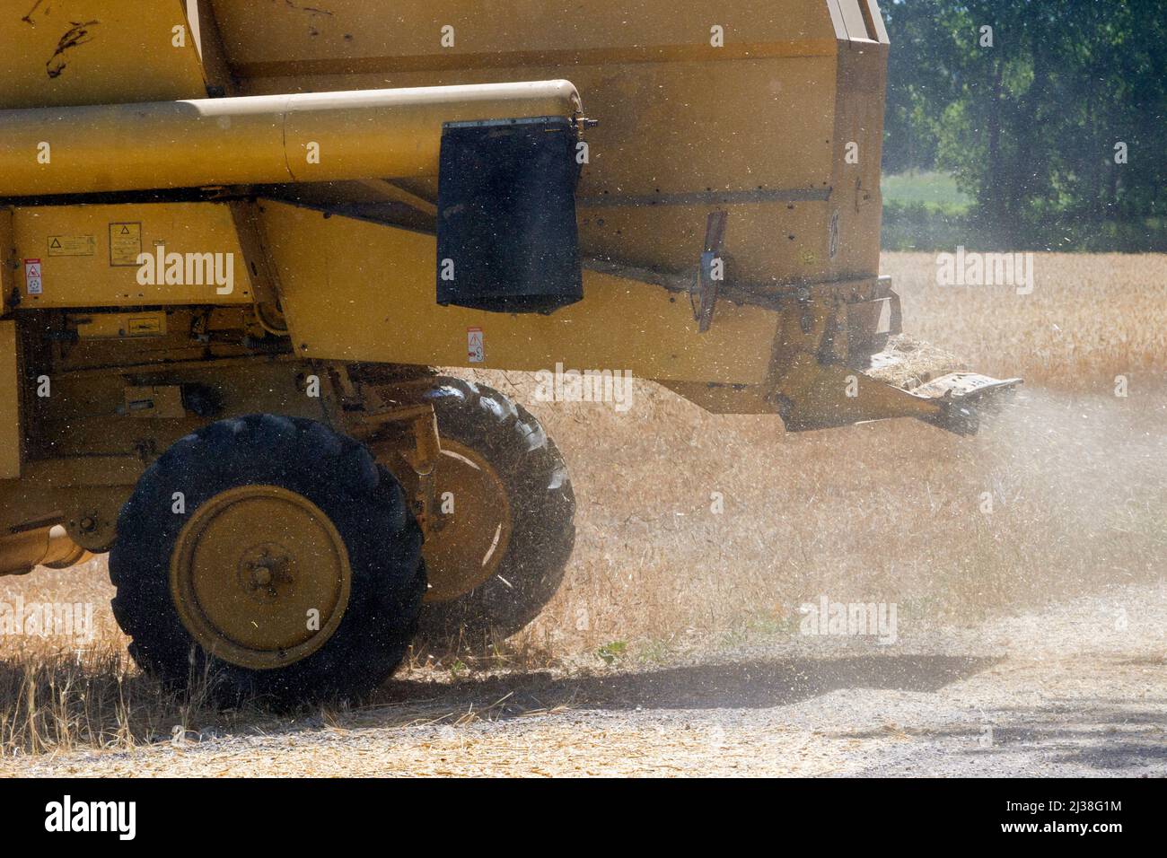 Hartweizenfeld, Mähdrescher in Aktion. Domaine de La Valette. G.E.V.E.S, Organisationen für wissenschaftliche Forschung und Experimente. Montpellier, Österreich, Frankreich Stockfoto