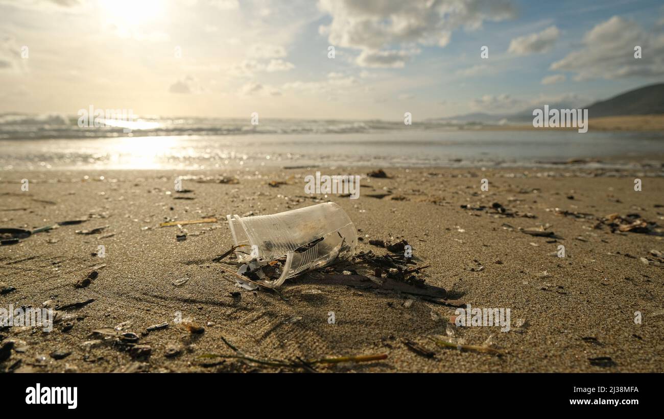 Gebrauchte Plastikbecher auf Meeresküste Ökosystem, Verschmutzung der Natur verworfen Stockfoto
