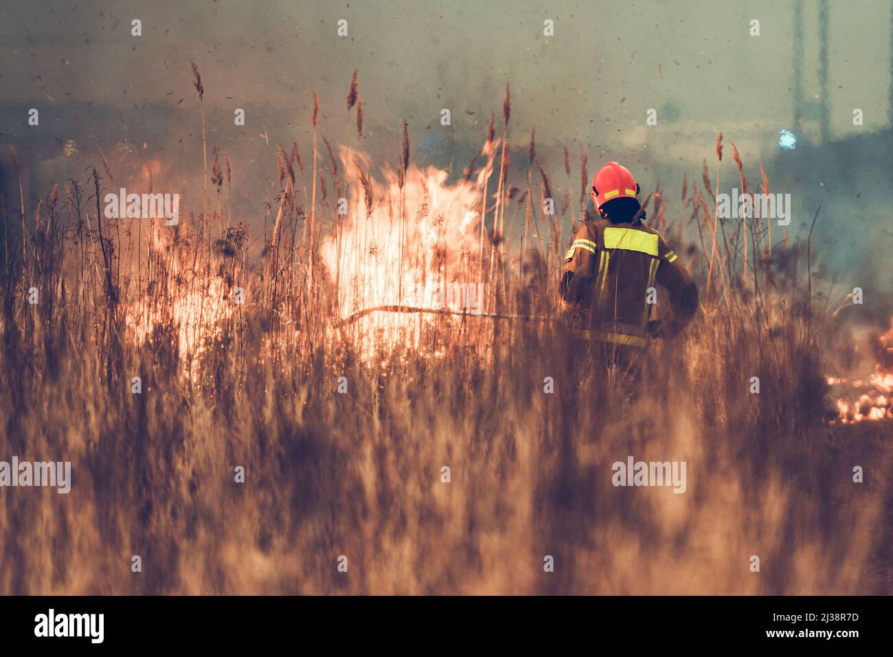 Professioneller Feuerwehrmann, Der Bush Wildfire Bekämpft. Konzept Der Extremen Globalen Dürrefrage. Stockfoto