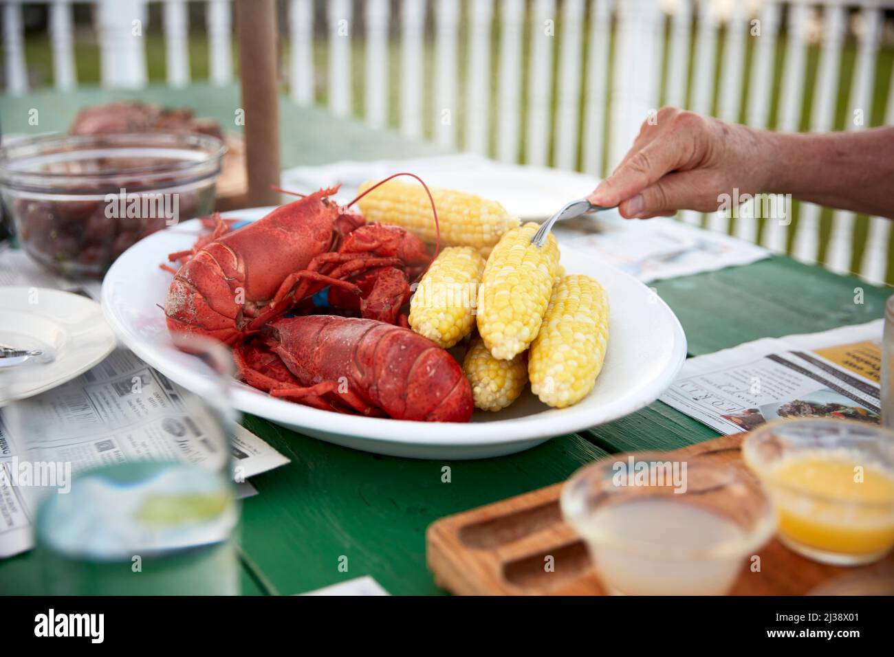 Lobster Essen Stockfoto
