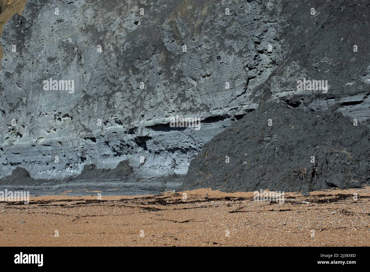 Fossile Felsen in den Klippen, Seatown, Dorset. Stockfoto