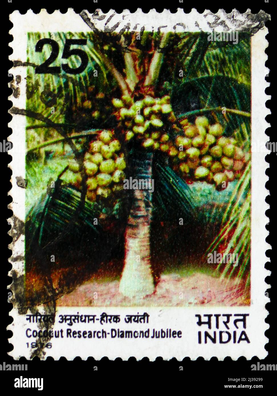 MOSKAU, RUSSLAND - 26. MÄRZ 2022: In Indien gedruckte Briefmarke zeigt Diamond Jubilee of Coconut Research, um 1976 Stockfoto