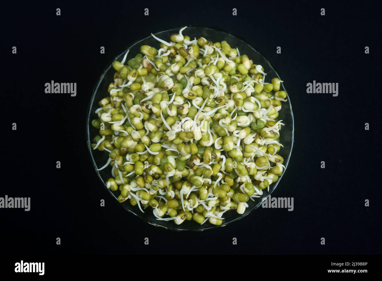 Grüne Gramm masoor dal alamy Bilder Stock Bilder Stockfoto