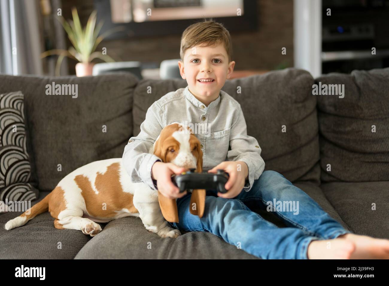 Glückliches Kind im Wohnzimmer zu Hause mit Basset Hund spielen Videospiel Stockfoto