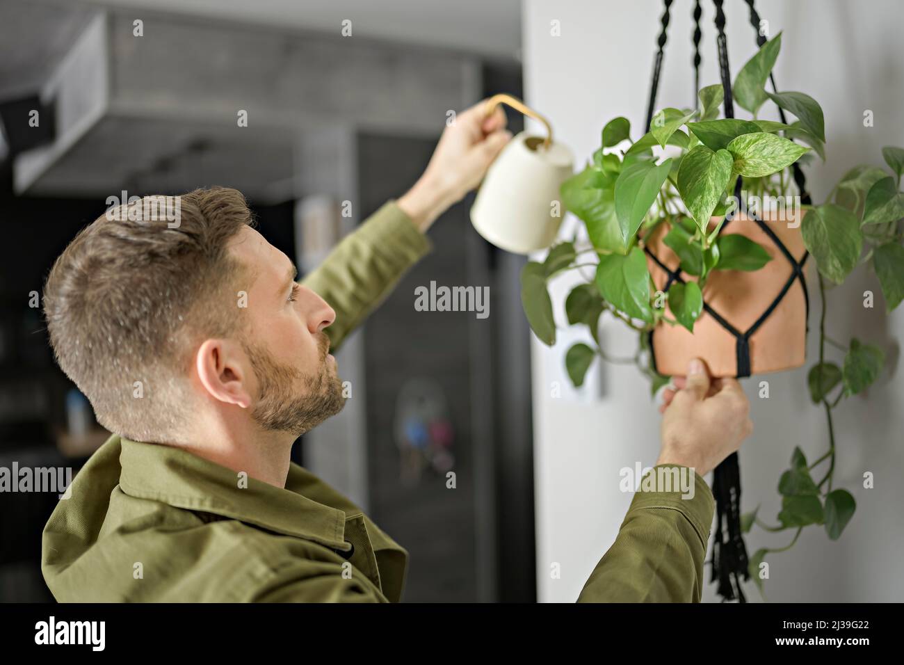 Ein netter Mann spritzt Wasser auf eine Hauspflanze und blüht mit einer Sprühflasche zu Hause Stockfoto