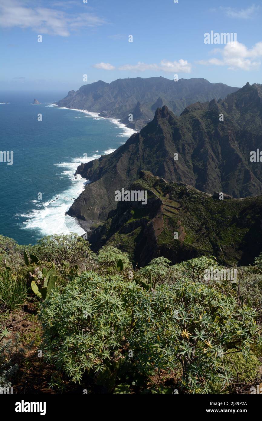 Das Anaga-Gebirge und der Atlantische Ozean an der Nordküste von Teneriffa, Anaga Rural Park, in der Nähe von Taganana, Kanarische Inseln, Spanien. Stockfoto