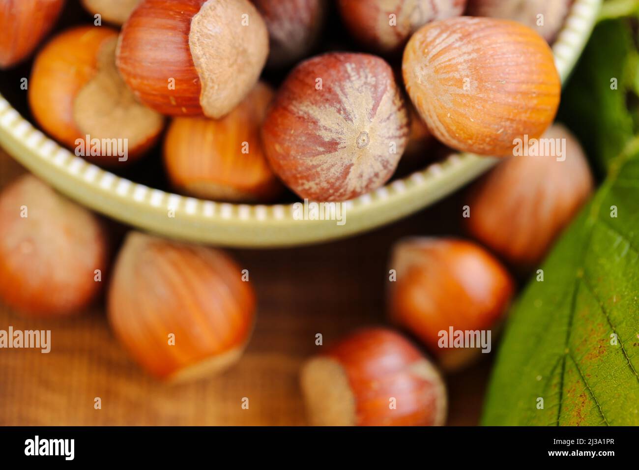 Haselnüsse in einer grünen Tasse auf einem Holztisch aus der Nähe. Ganze Nüsse mit grünen Blättern. Ernte von Haselnüssen. Reife Haselnüsse aus biologischem Anbau. Stockfoto