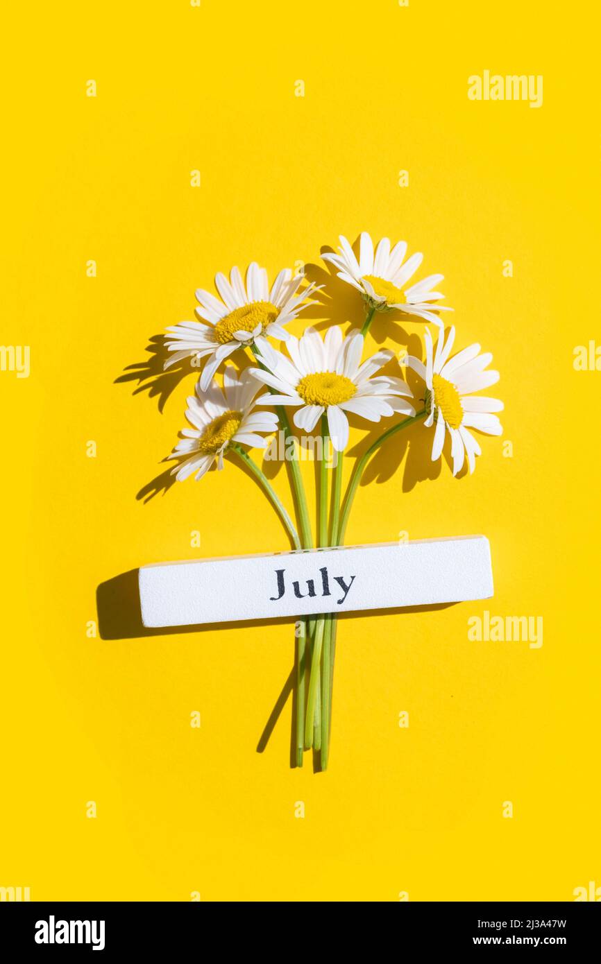 Kalender Sommer Monat Juli und Kamillenblüten auf gelbem Hintergrund. Draufsicht Flat Lay. Minimalkonzept Hallo Juni. Draufsicht, Flat Lay, Begrüßung Auto Stockfoto