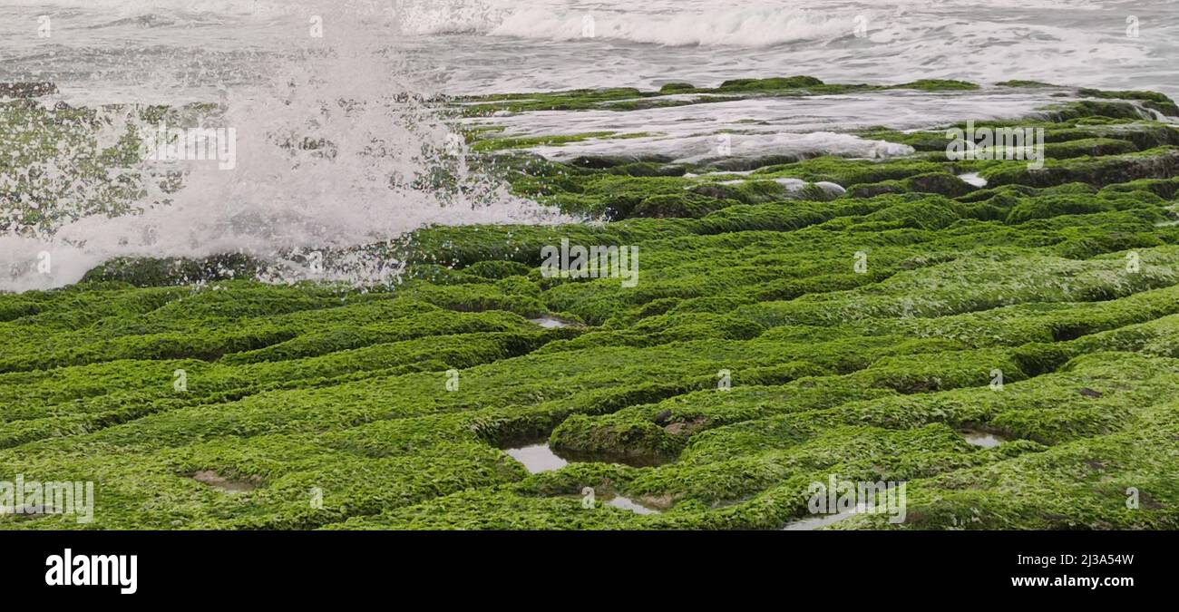 Die Laomei Green Stone Trough befindet sich im Shimen District an der Nordküste, jedes Jahr im April und Mai, weil der Nordostmonsun langsam schwächt, der Stockfoto