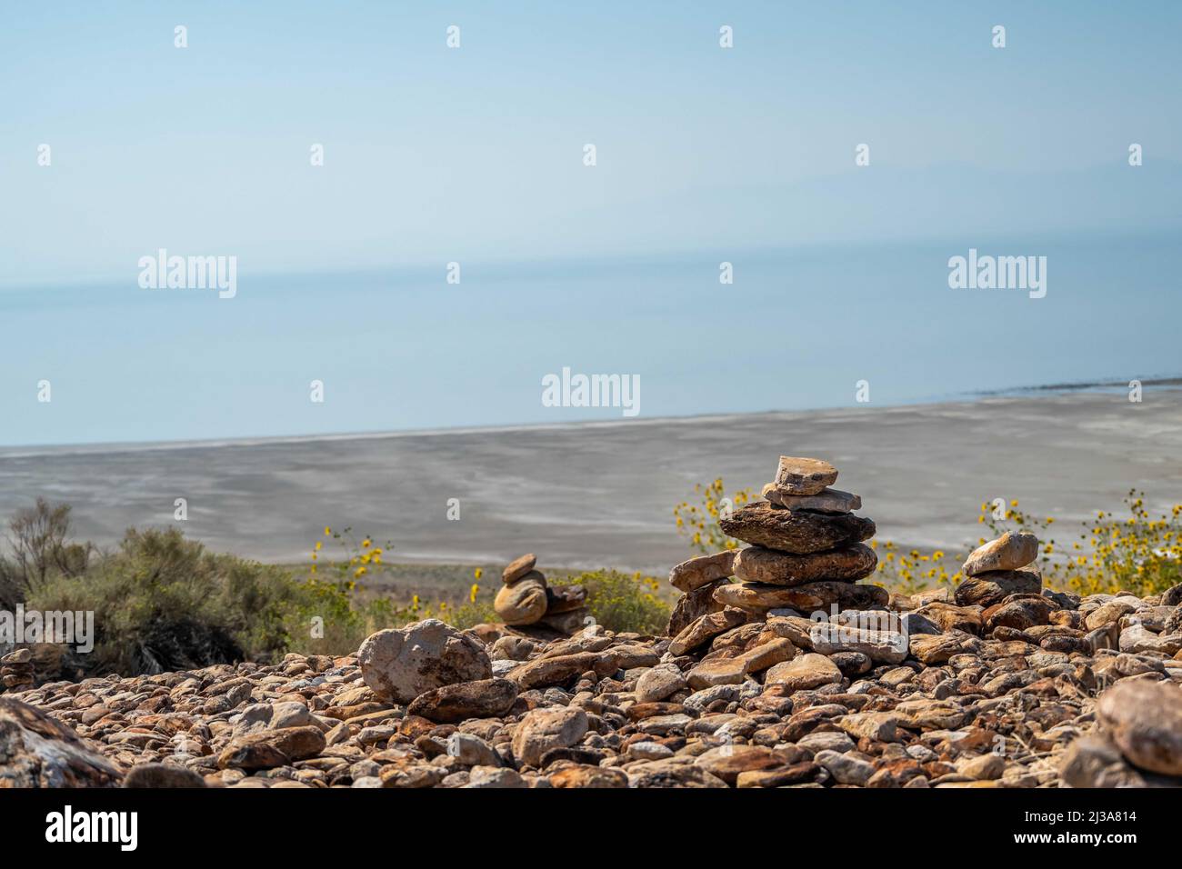 Ein Blick auf die Natur in Antelope Island SP, Utah Stockfoto