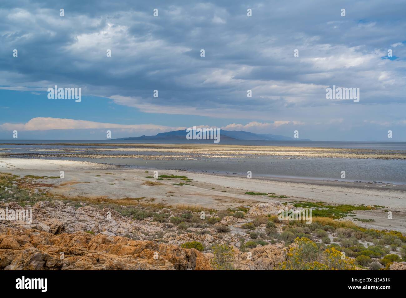 Ein Blick auf die Natur in Antelope Island SP, Utah Stockfoto
