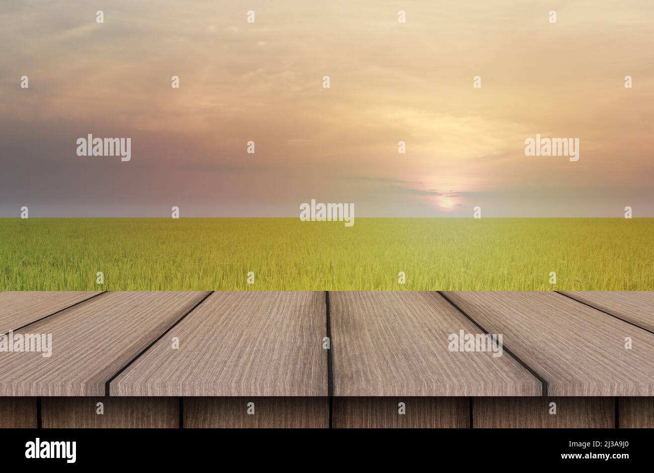 Oben auf einem braunen Holztisch und Blick auf die Reisfelder am Morgen mit der aufgehenden Sonne im ländlichen landwirtschaftlichen Bereich. Stockfoto