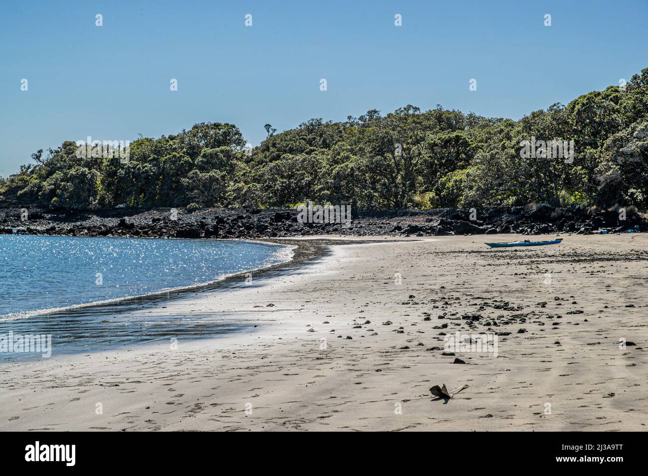 Rangitoto Island ist eine vulkanische Insel im Hauraki Golf in der Nähe von Auckland, Neuseeland. Stockfoto