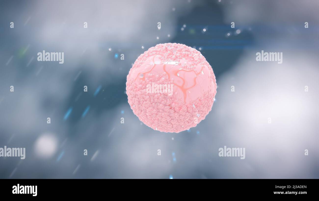 Virus, das an den Zellrezeptor gebunden ist und RNA injiziert, Coronavirus-Infektionskonzept covid-19 3D-Rendering Stockfoto