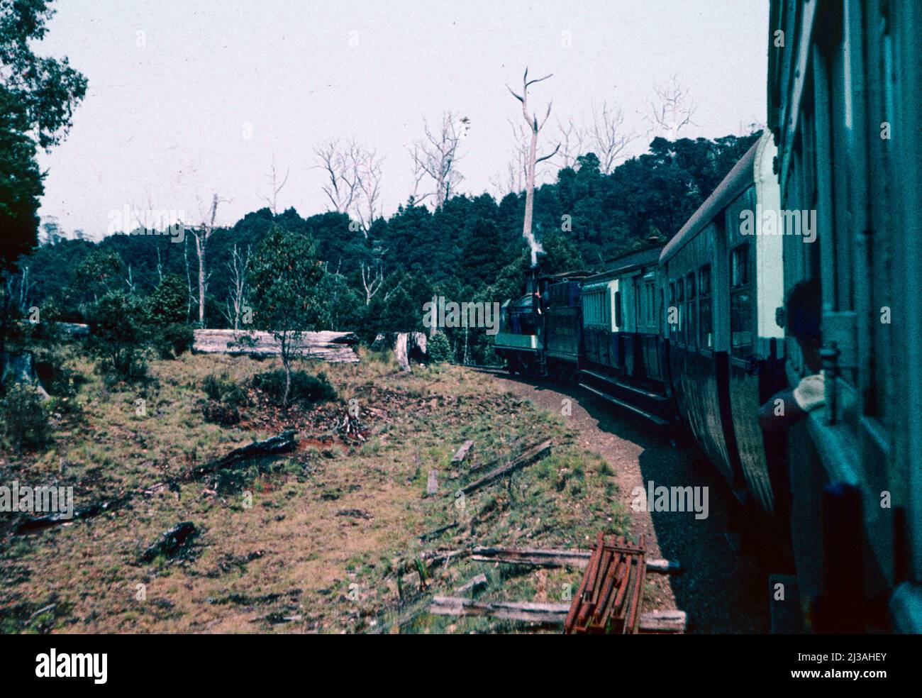 Emu Bay Railway, südwärts zwischen Guildford und Zeehan an der Westküste Tasmaniens, Australien, 1961. Diese wurde später zur Westküstenlinie der Tasmanischen Eisenbahn. Vom Guildford-Abstellgleis und der Wegkreuzung bleibt heute nichts mehr übrig Stockfoto