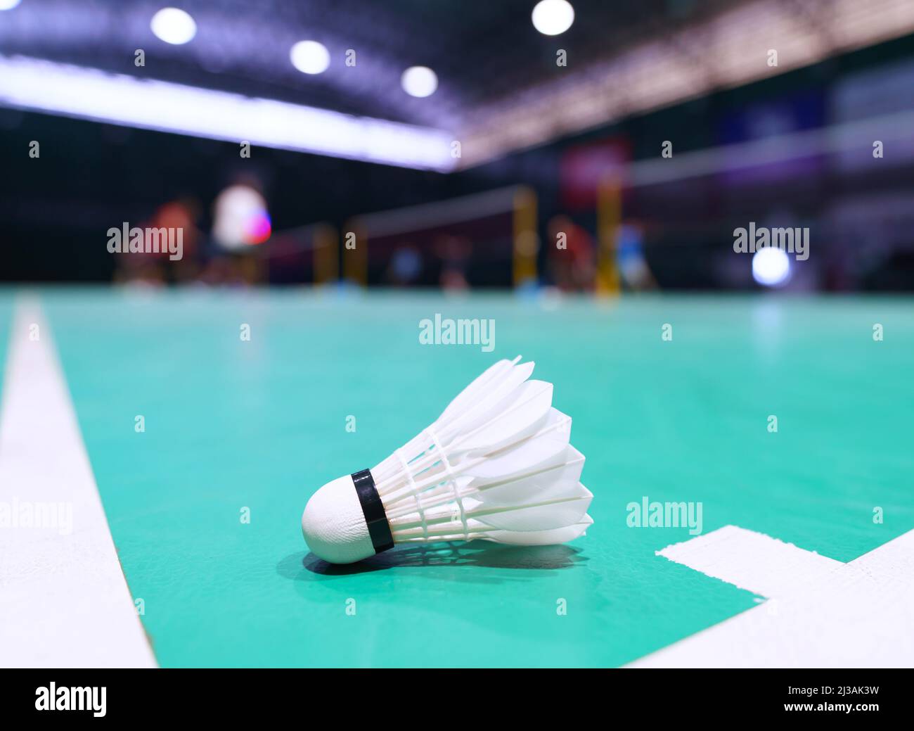 Federball auf grünem Badminton, der Platz spielt, mit Spieler im Hintergrund Stockfoto
