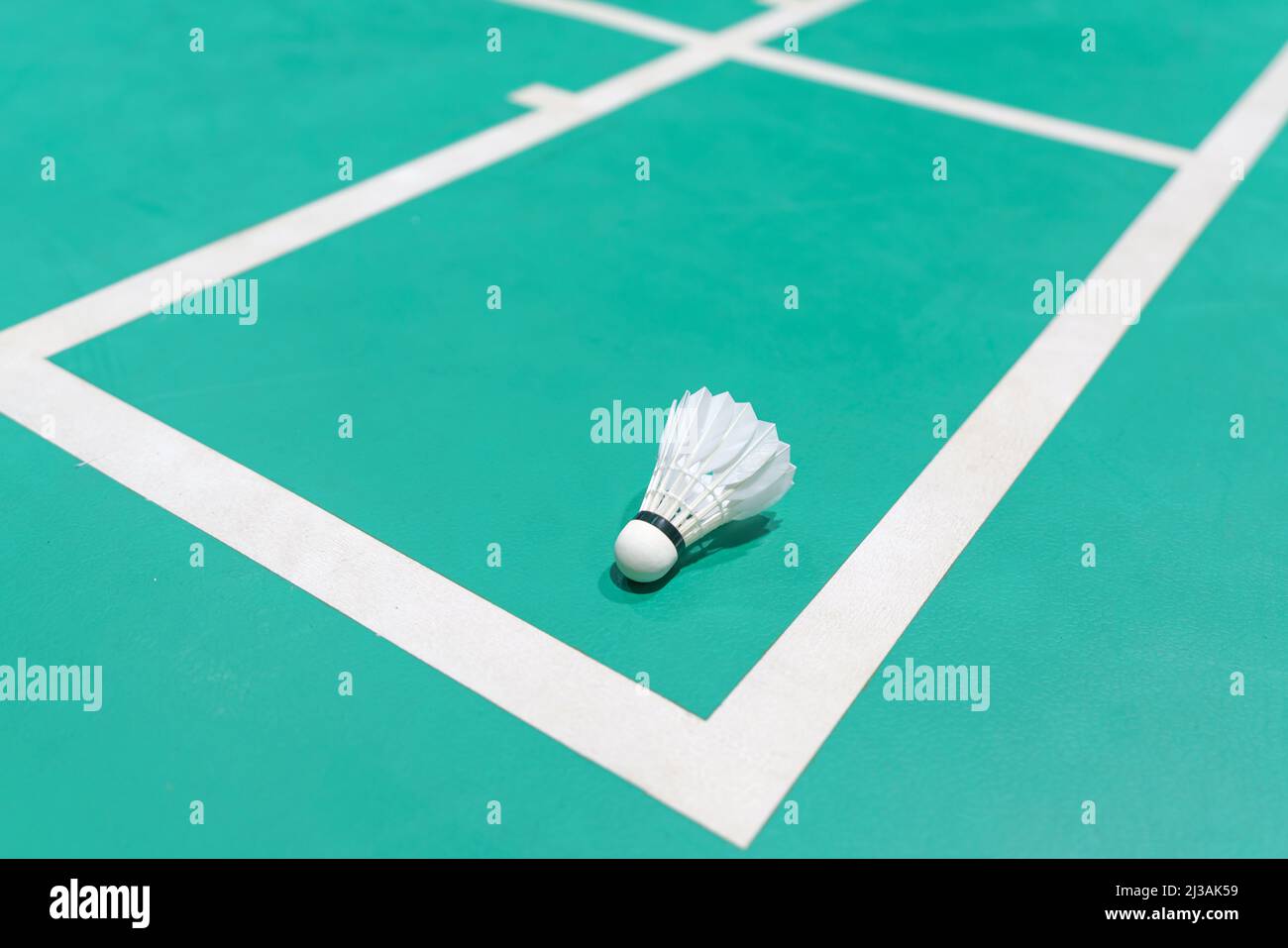 Neuer Federball auf grünem Badminton-Spielplatz Stockfoto