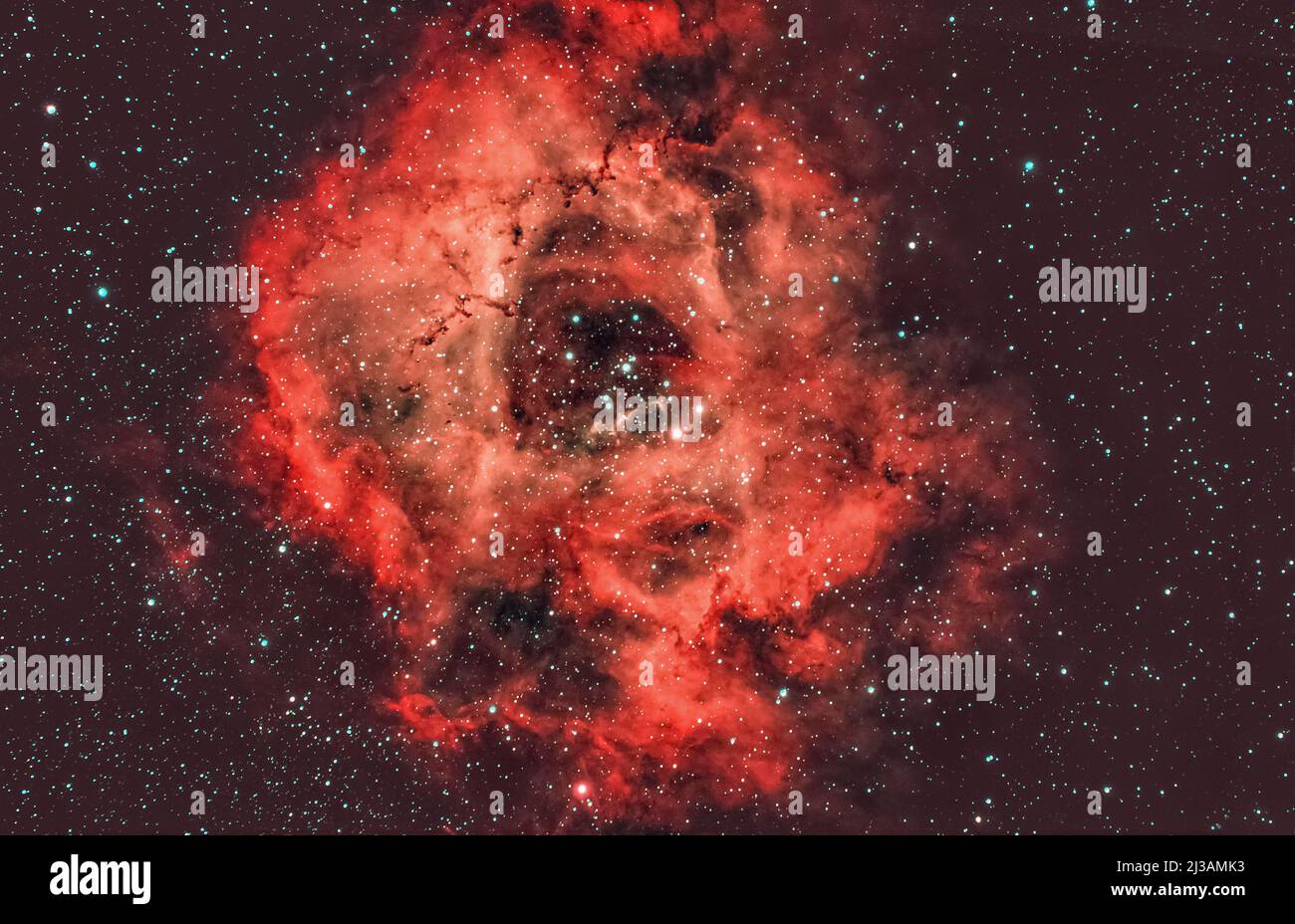 Emissionsnebel NGC2244, Rosettennebel mit offenen Sternhaufen im Sternbild Einhorn, Bayern, Deutschland Stockfoto