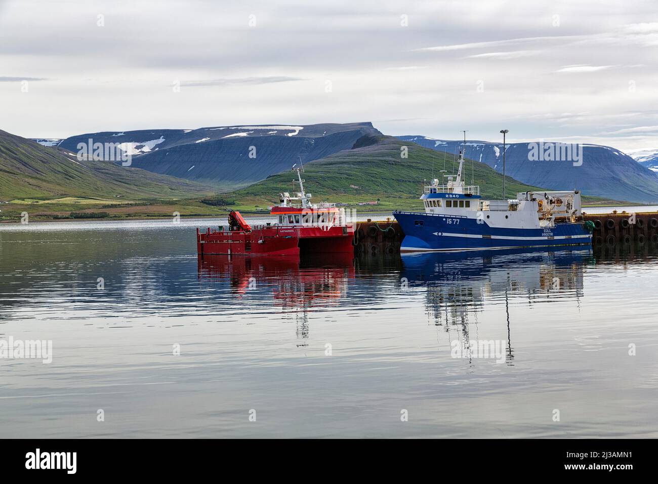 Boote im Hafen von Pingeyri bei Dyrafjoerour, Fjordlandschaft, Thingeyri, Pingeyri, Isafjaroarbaer, Vestfiroir, Westfjorde, Island Stockfoto