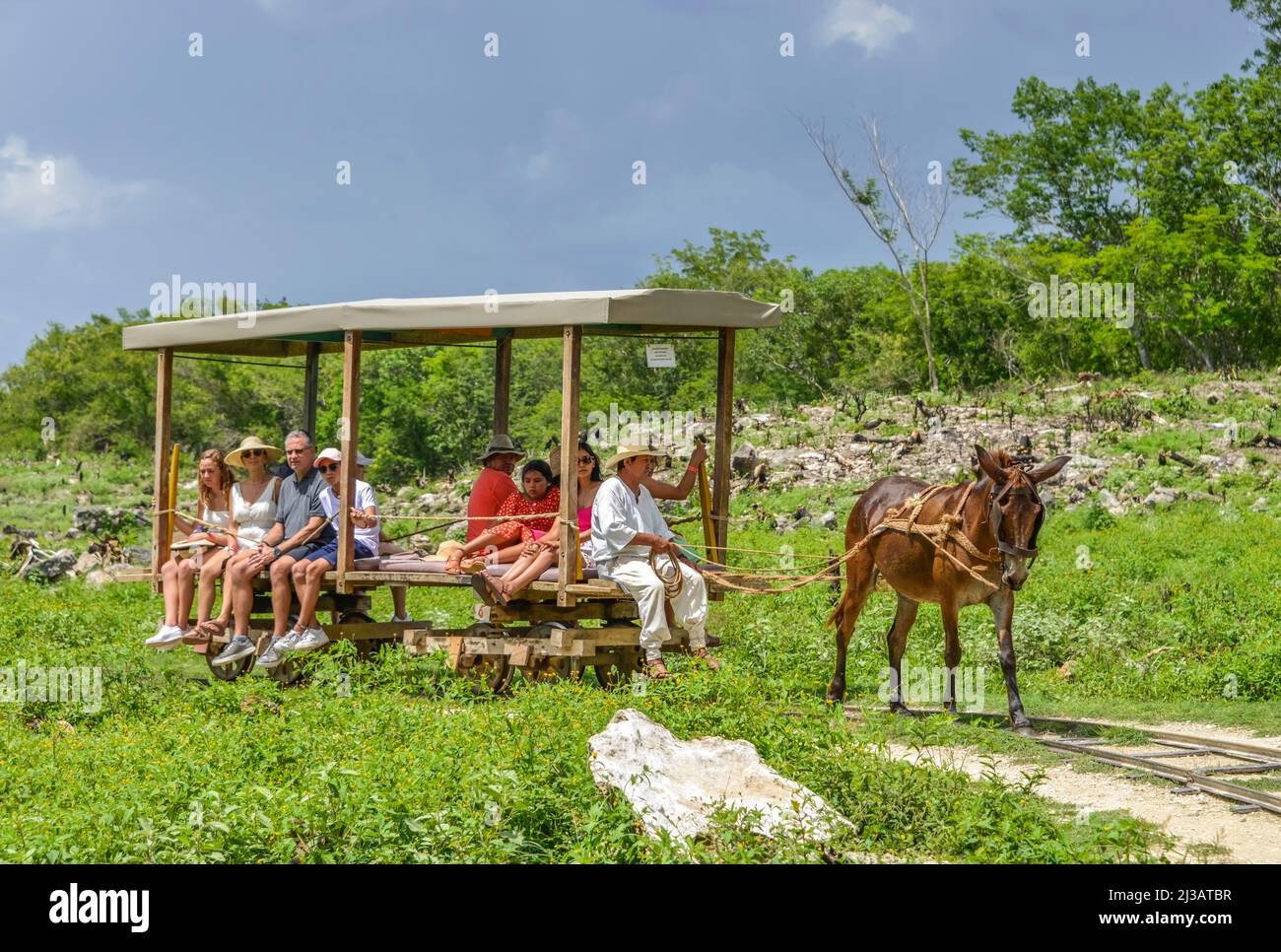 Maultier, Schienenfahrzeug, Touristenverkehr, Hacienda Sotuta de Peon, Yucatan, Mexiko Stockfoto