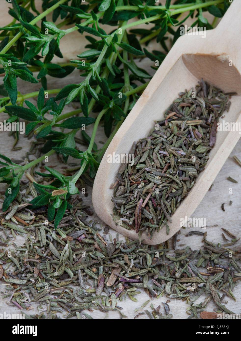 Getrocknete Thymiankräuter in Holzlöffel auf rustikaler Oberfläche Stockfoto