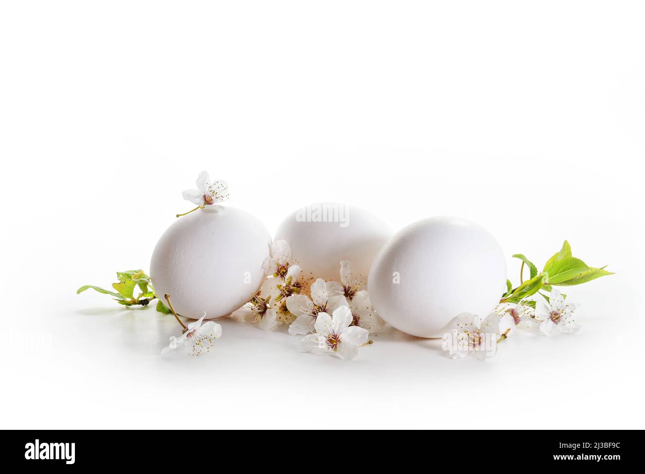 Drei Eier und Wildkirschblüten auf weißem Hintergrund, helle Ostern-Grußkarte mit großem Kopierbereich, ausgewähltem Fokus, enger Schärfentiefe Stockfoto