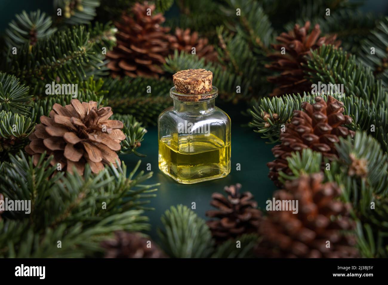 Glasflasche mit ätherischem Nadelöl zwischen Tannenzweigen und Tannenzapfen auf grünem Nahaufnahme. Aromatherapie, Spa und Kräutermedizin Konzept. Natürlich Stockfoto