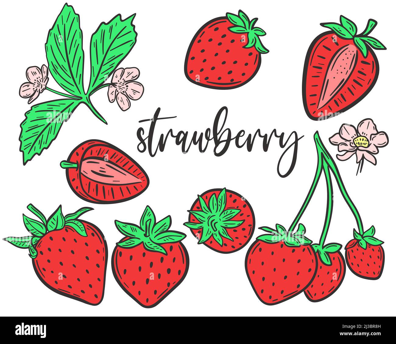 Handgezeichnete Vektorgrafik für Erdbeeren einstellen. Sammeln Sie ganze Beeren, Teile, Blumen und Blätter. Bündeln Sie rote süße saftige Beeren Bio-Lebensmittel Stock Vektor