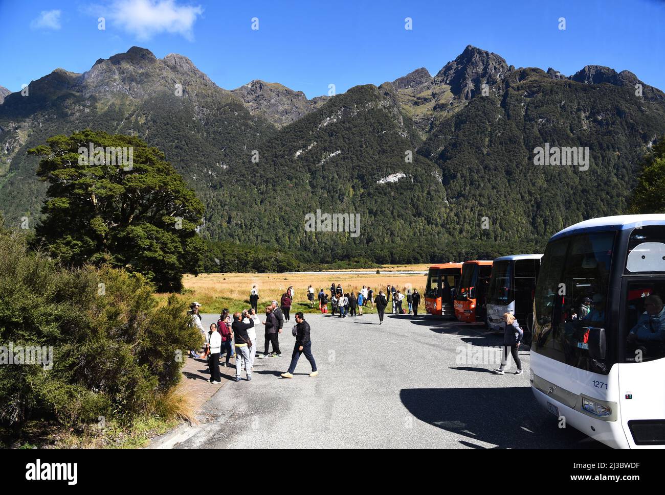 Touristenbusse parkten an einer malerischen Stelle auf dem Weg nach milford Sound von queenstown, Neuseeland. Stockfoto