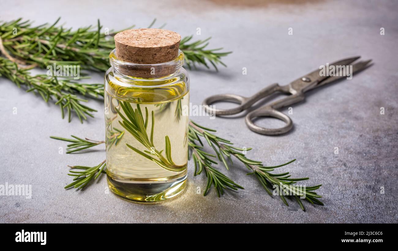 Glas Olivenöl mit Küchenkräutern grünem Rosmarin für gesunde Ernährung auf grauem Betongrund Stockfoto