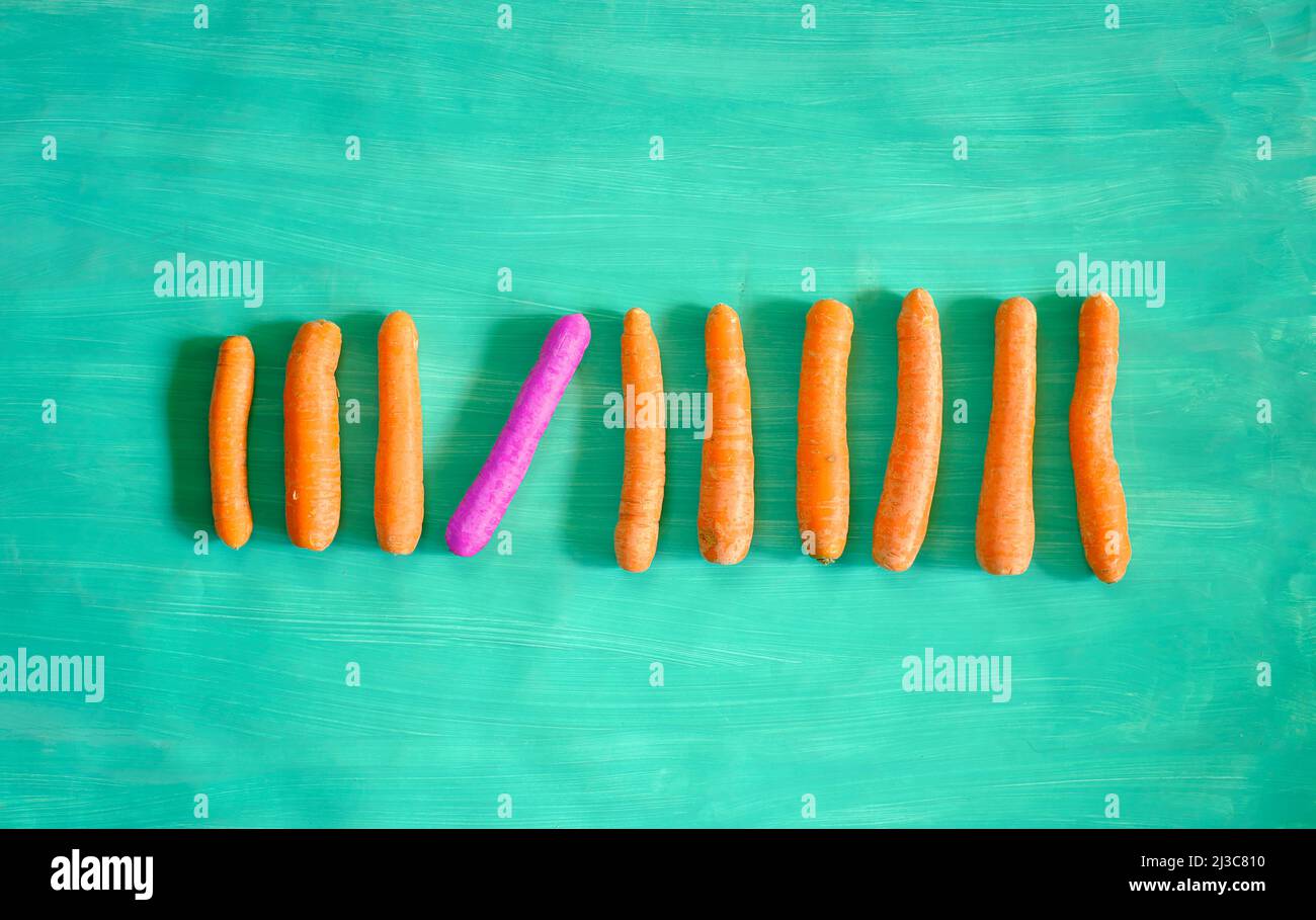 Business Metapher, Lösung, Innovation, Idee, Beratung, Kirschbaumreihe mit einem rosa gefärbten, flachen Lay, gute Kopiefläche Stockfoto