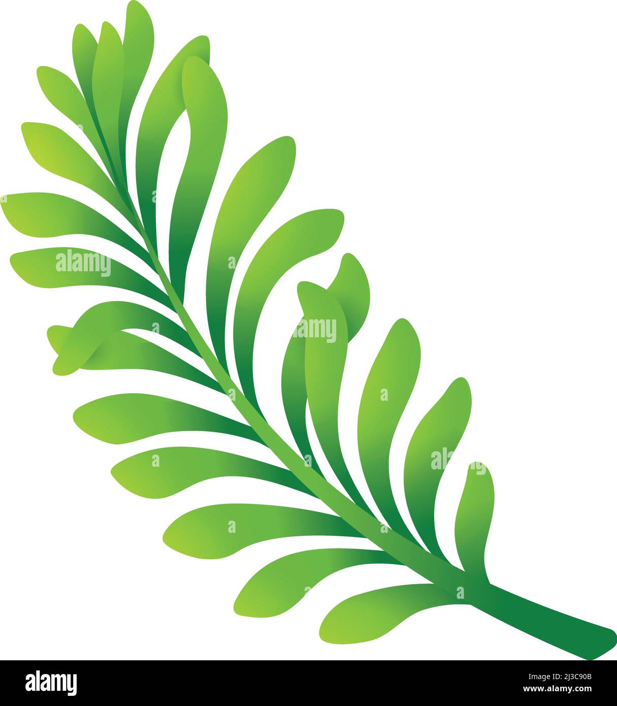 Cartoon grüner Zweig. Natürliche Blätter. Botanisches Element Stock Vektor