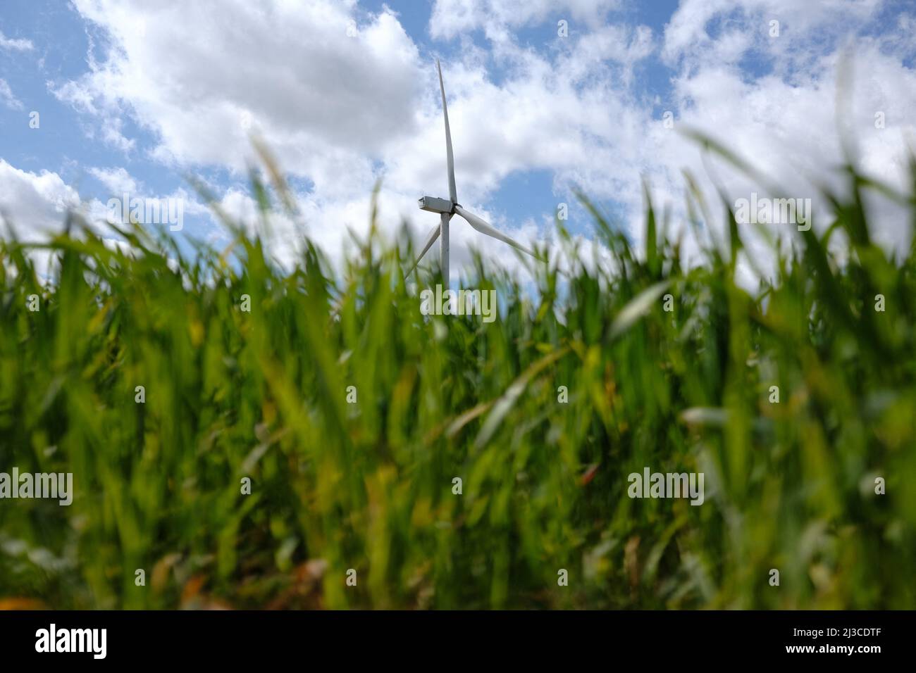 Nach dem schlechten Wetter in der vergangenen Woche zwischen den Grafschaften Aude und Haute-Garonne wurde am 2. April eine Windschaufel vom Wind zerrissen. Die elf von der Firma Voltalia betriebenen Windenergieanlagen befinden sich zwischen den Gemeinden Saint-Félix-Lauragais, Roumens und Montégut-Lauragais (Frankreich) und sind seit 2008 in Betrieb. Dies ist das erste Mal, dass der Betreiber mit einem solchen Unfall zu kämpfen hat. 7. April 2022. Foto von Patrick Batard/ABACAPRESS.COM Stockfoto