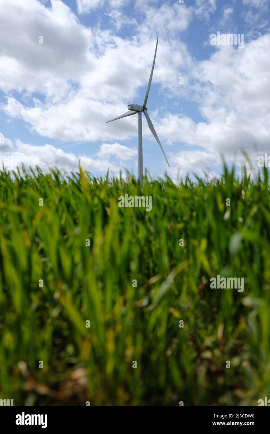 Nach dem schlechten Wetter in der vergangenen Woche zwischen den Grafschaften Aude und Haute-Garonne wurde am 2. April eine Windschaufel vom Wind zerrissen. Die elf von der Firma Voltalia betriebenen Windenergieanlagen befinden sich zwischen den Gemeinden Saint-Félix-Lauragais, Roumens und Montégut-Lauragais (Frankreich) und sind seit 2008 in Betrieb. Dies ist das erste Mal, dass der Betreiber mit einem solchen Unfall zu kämpfen hat. 7. April 2022. Foto von Patrick Batard/ABACAPRESS.COM Stockfoto