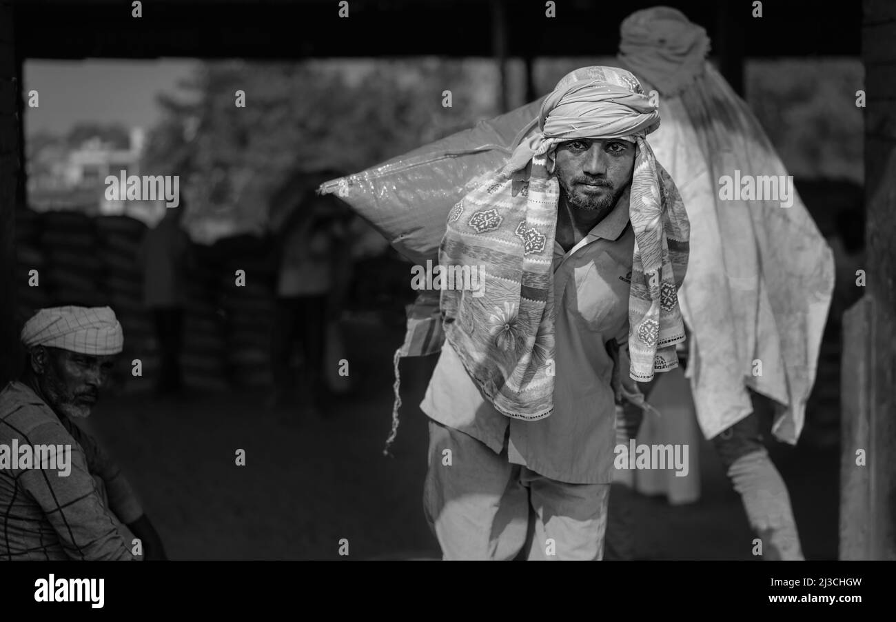 In Mathura, Indien, transportiert ein Handarbeiter unter gefährlichen Bedingungen schweren Zementsack vom Lager zum Transportpunkt. Stockfoto