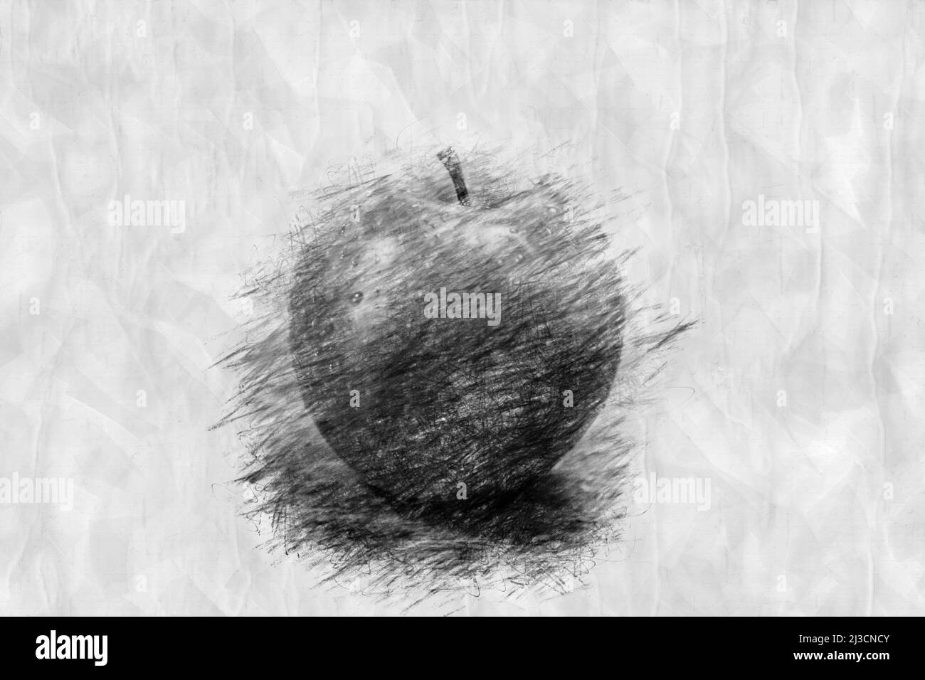 Nahaufnahme eines Apfels in Bleistiftzeichnung Stockfoto