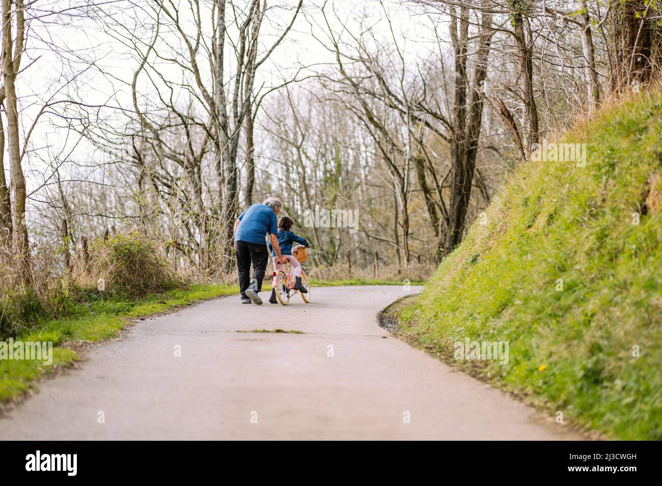 Rückansicht des unkenntlich fürsorglichen Großvaters, der aktiven Enkelin beim Fahrradfahren mit Korb auf der Straße auf dem Land mit grünen Bäumen auf dem Summ hilft Stockfoto