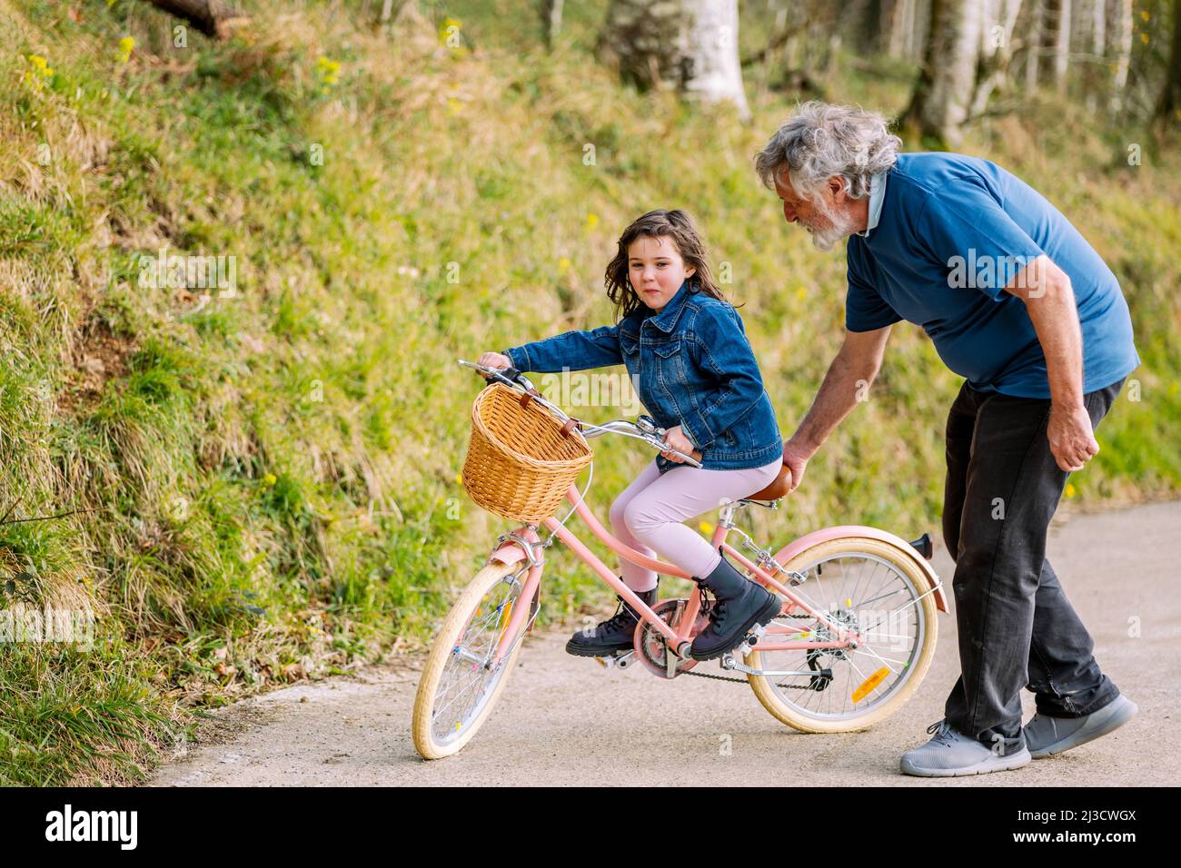 Seitenansicht des fürsorglichen Großvaters, der aktiven Enkelin beim Fahrradfahren mit Korb auf der Straße auf dem Land mit grünen Bäumen am Sommertag hilft Stockfoto