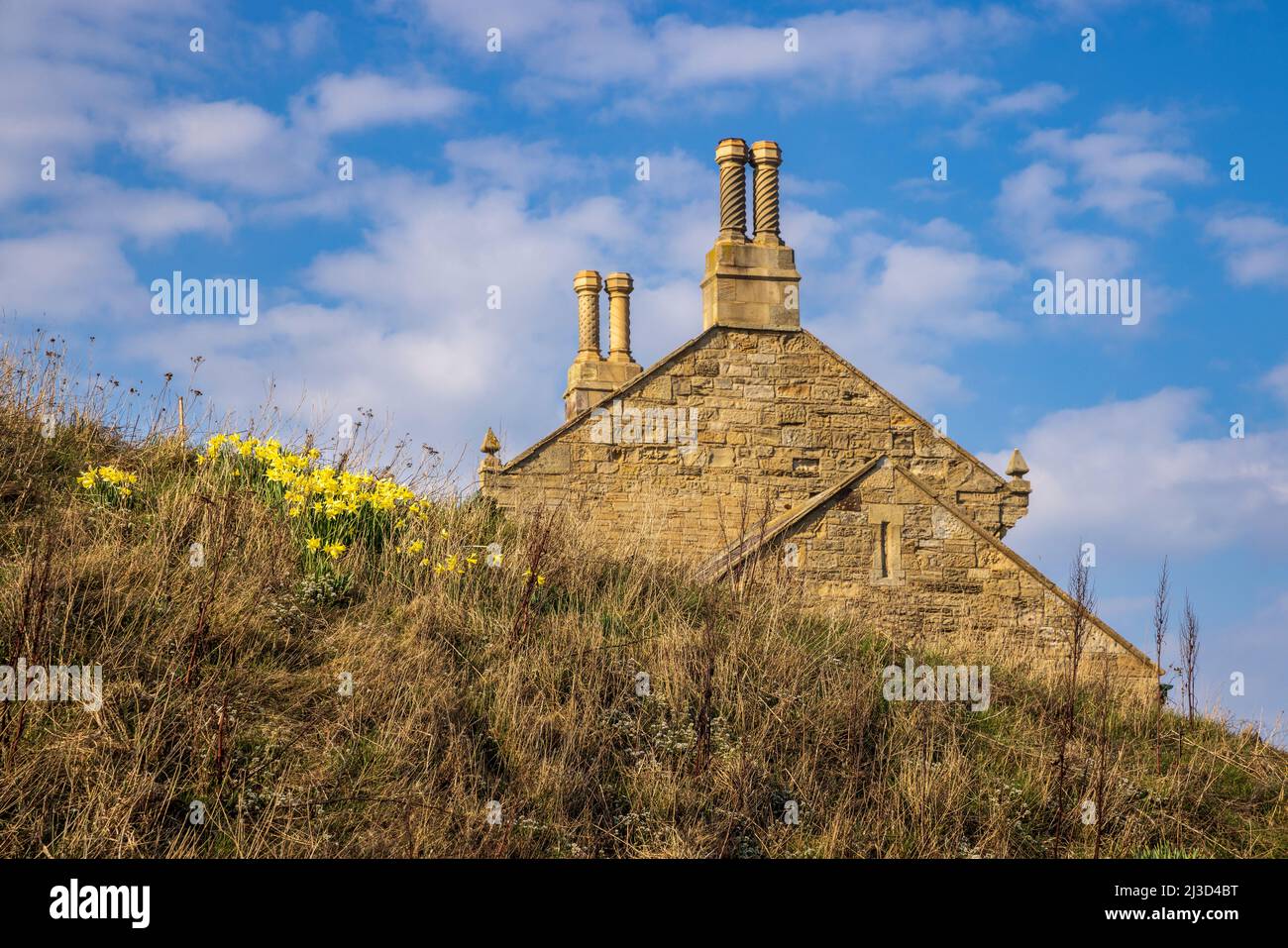 Die Kamine und die Südwand des Howick Bathing House auf dem Northumberland Coast Path im Frühjahr, England Stockfoto